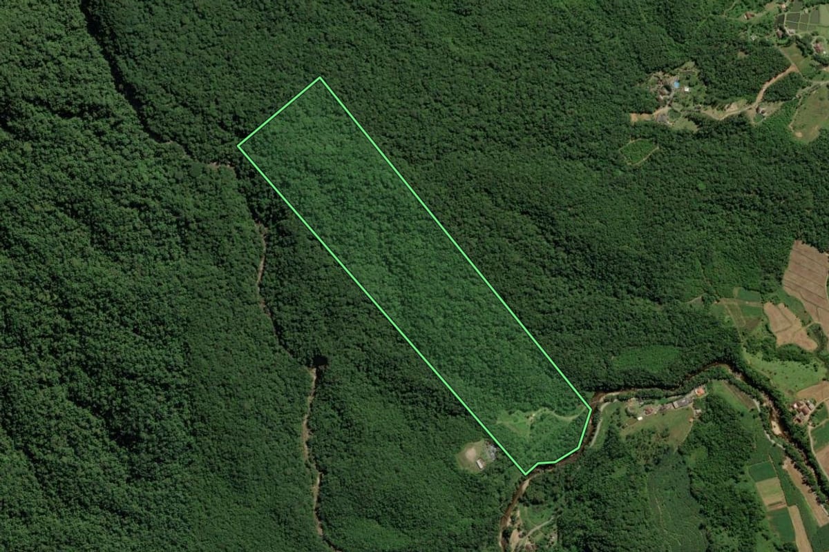 Imagem de satélite do imóvel rural em Garuva (SC), com o contorno declarado no CAR desenhado por cima.