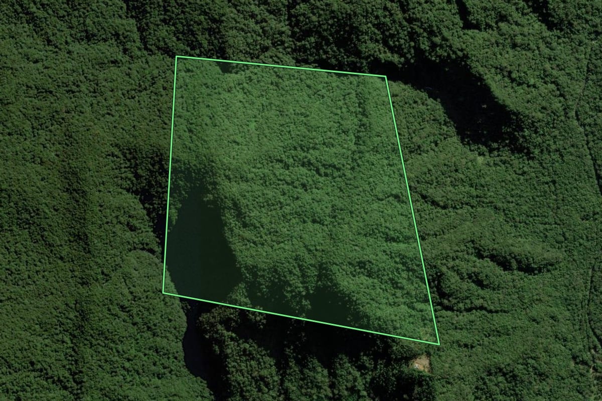 Imagem de satélite do imóvel rural em Garuva (SC), com o contorno declarado no CAR desenhado por cima.