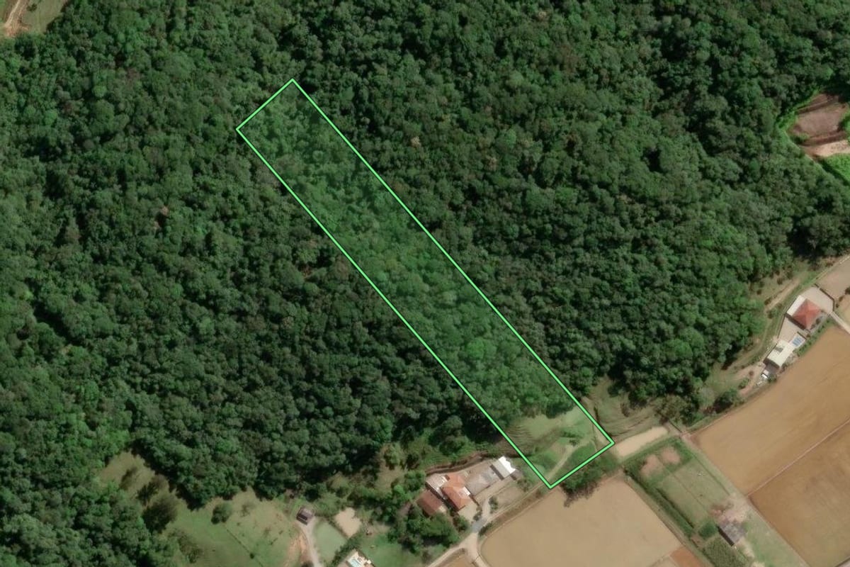 Imagem de satélite do imóvel rural em Gaspar (SC), com o contorno declarado no CAR desenhado por cima.