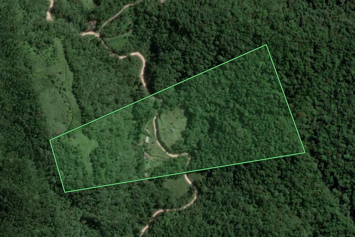 Imagem de satélite do imóvel rural em Gaspar (SC), com o contorno declarado no CAR desenhado por cima.