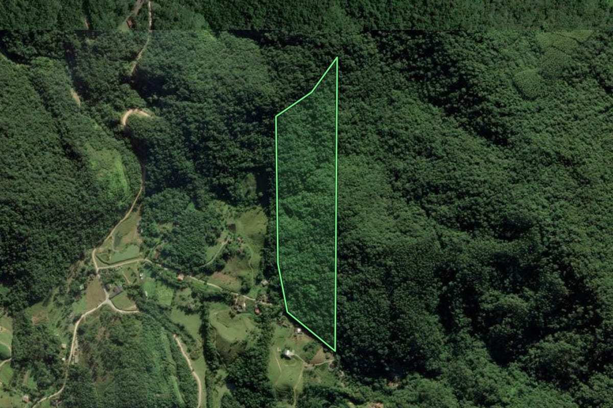 Imagem de satélite do imóvel rural em Gaspar (SC), com o contorno declarado no CAR desenhado por cima.