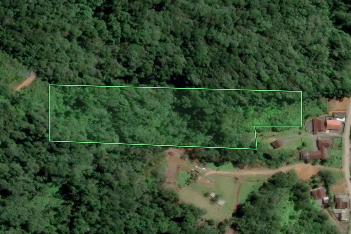 Imagem de satélite do imóvel rural em Gaspar (SC), com o contorno declarado no CAR desenhado por cima.
