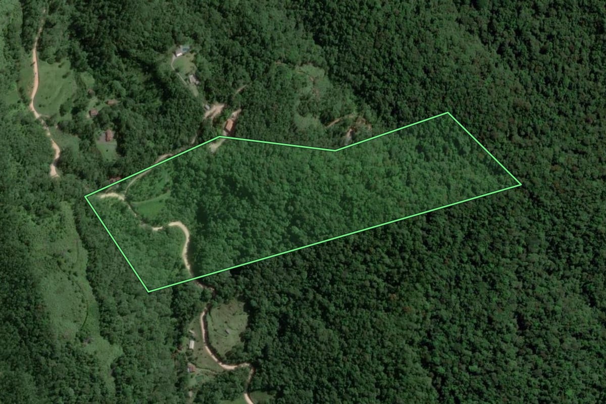 Imagem de satélite do imóvel rural em Gaspar (SC), com o contorno declarado no CAR desenhado por cima.