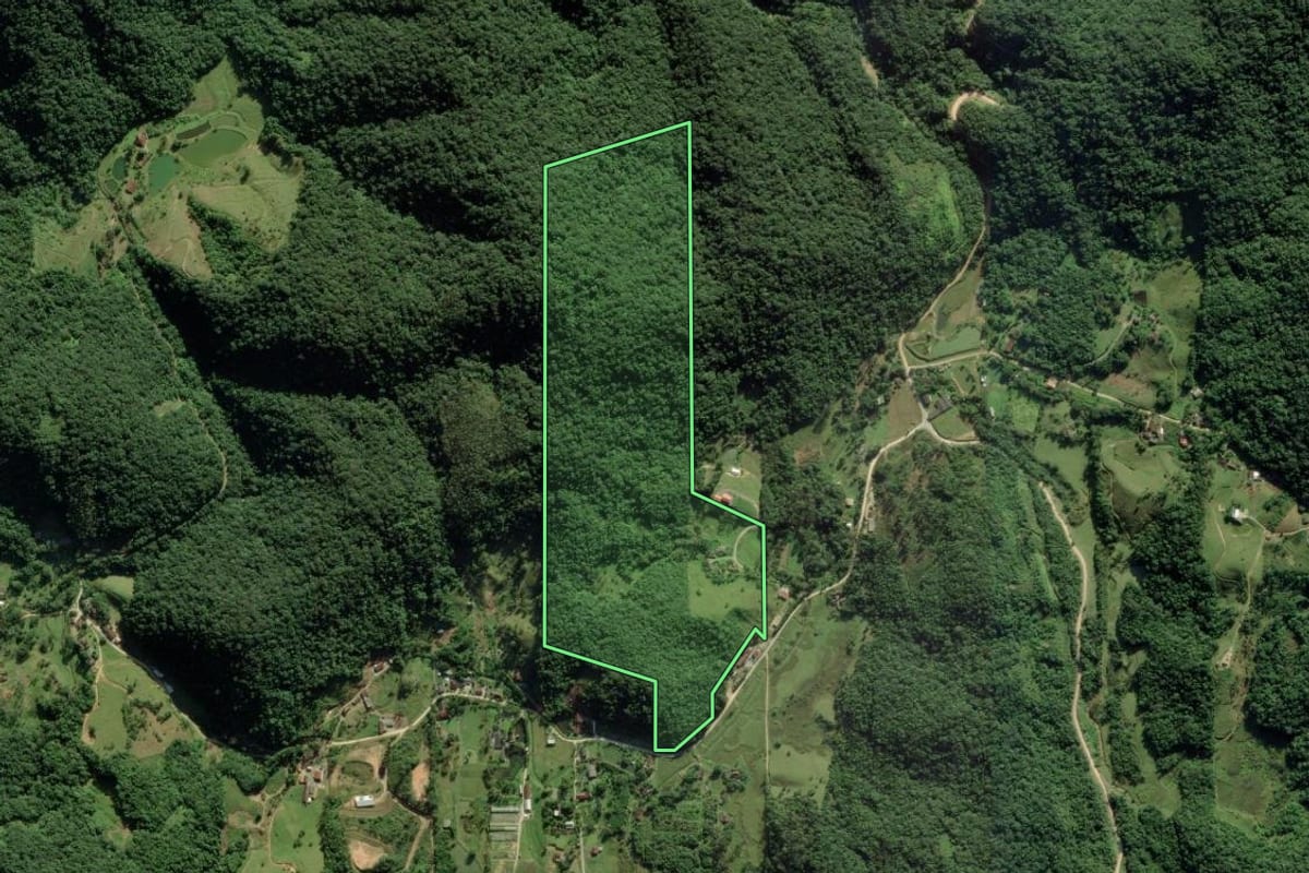 Imagem de satélite do imóvel rural em Gaspar (SC), com o contorno declarado no CAR desenhado por cima.