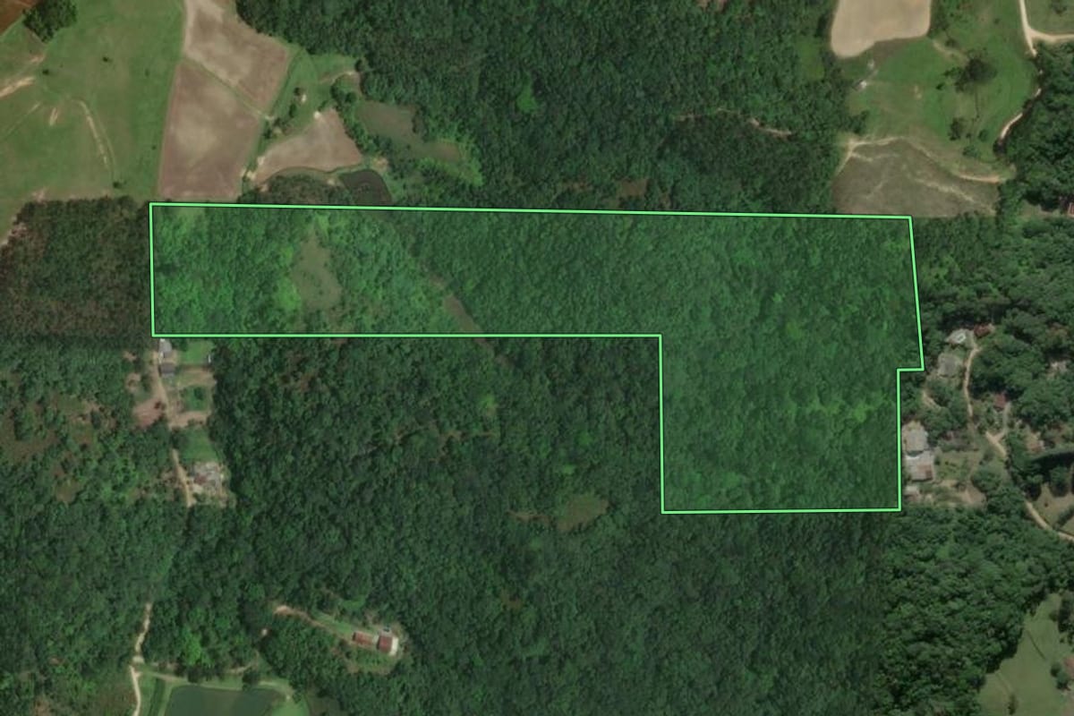 Imagem de satélite do imóvel rural em Gaspar (SC), com o contorno declarado no CAR desenhado por cima.