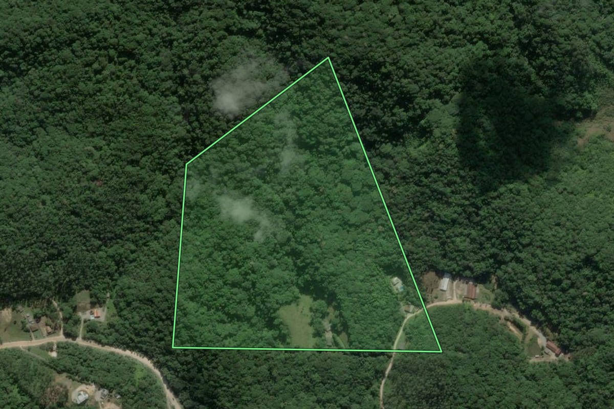 Imagem de satélite do imóvel rural em Gaspar (SC), com o contorno declarado no CAR desenhado por cima.