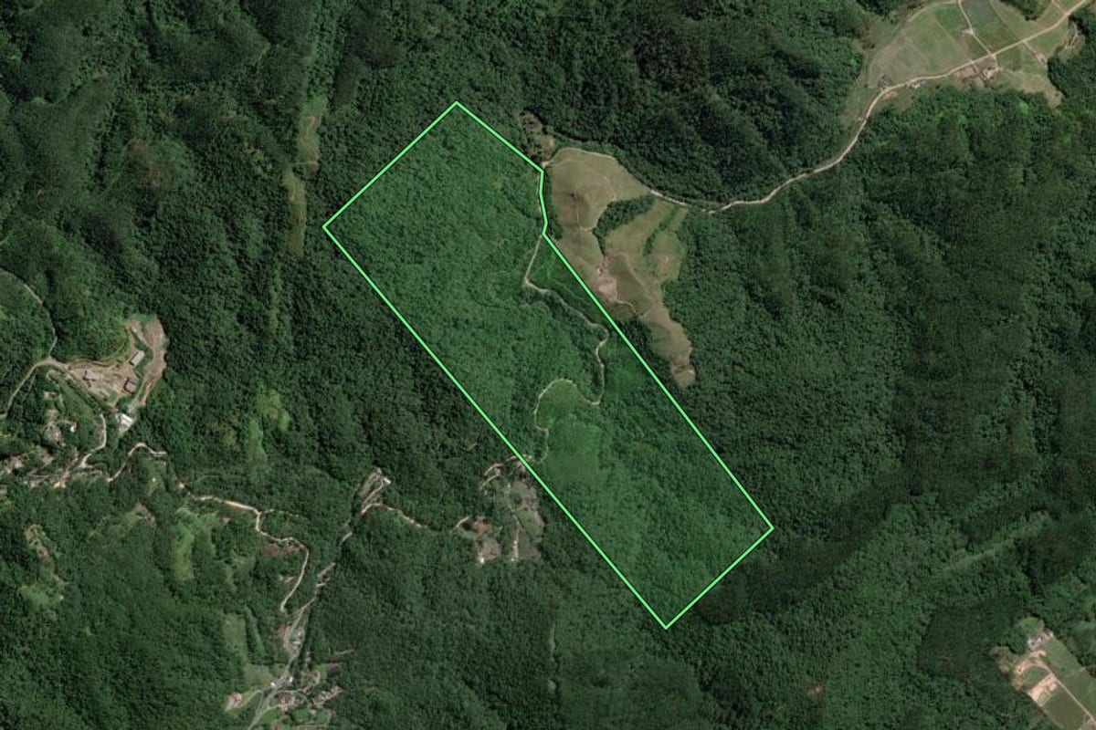 Imagem de satélite do imóvel rural em Gaspar (SC), com o contorno declarado no CAR desenhado por cima.