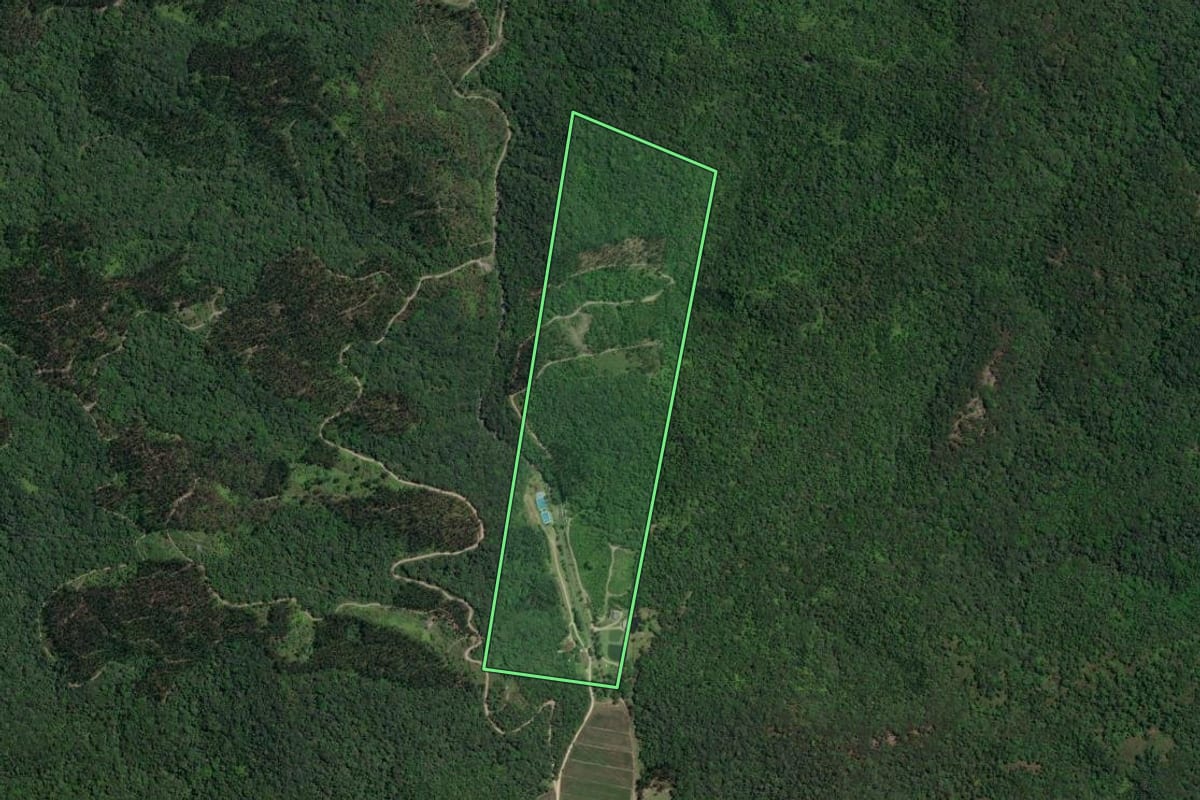 Imagem de satélite do imóvel rural em Gaspar (SC), com o contorno declarado no CAR desenhado por cima.