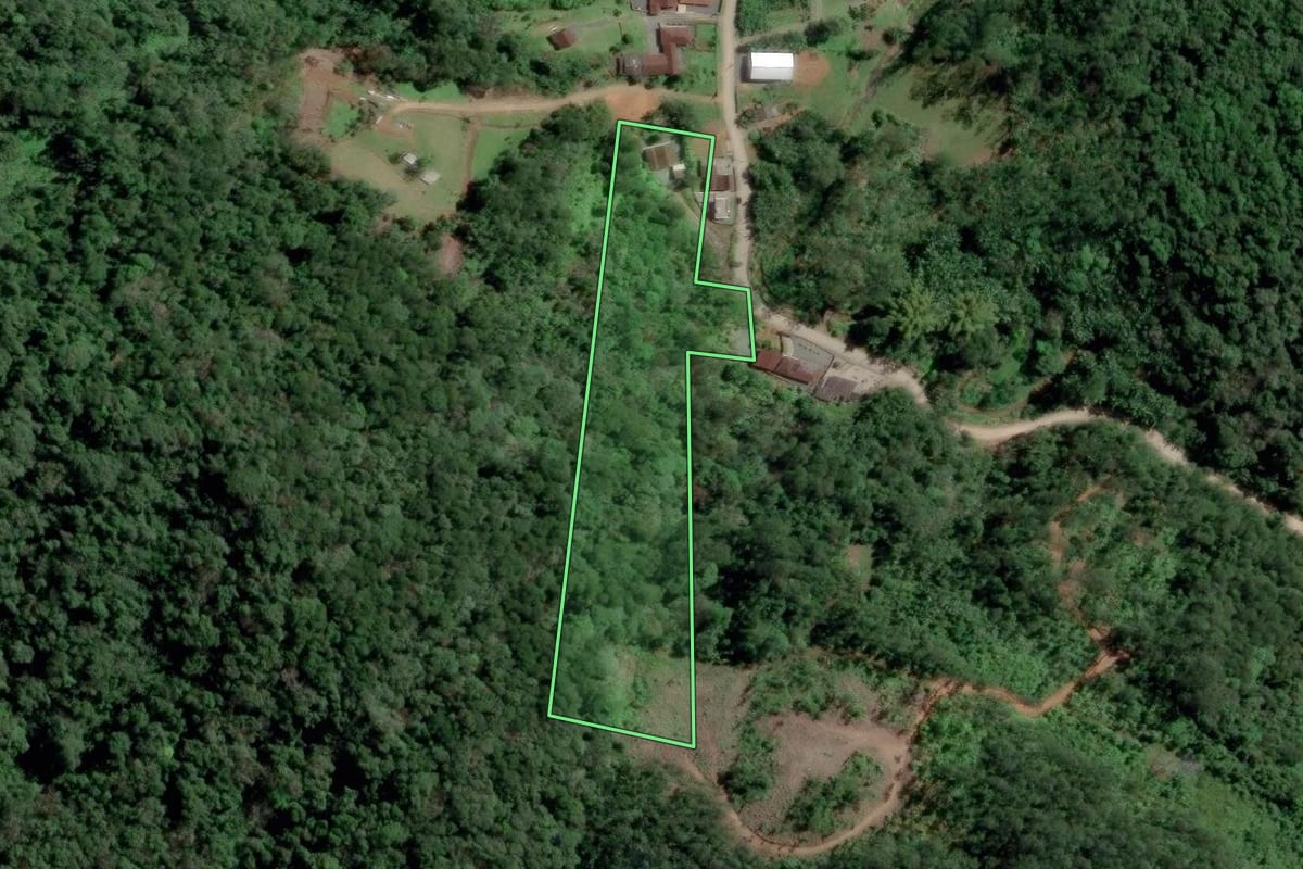 Imagem de satélite do imóvel rural em Gaspar (SC), com o contorno declarado no CAR desenhado por cima.