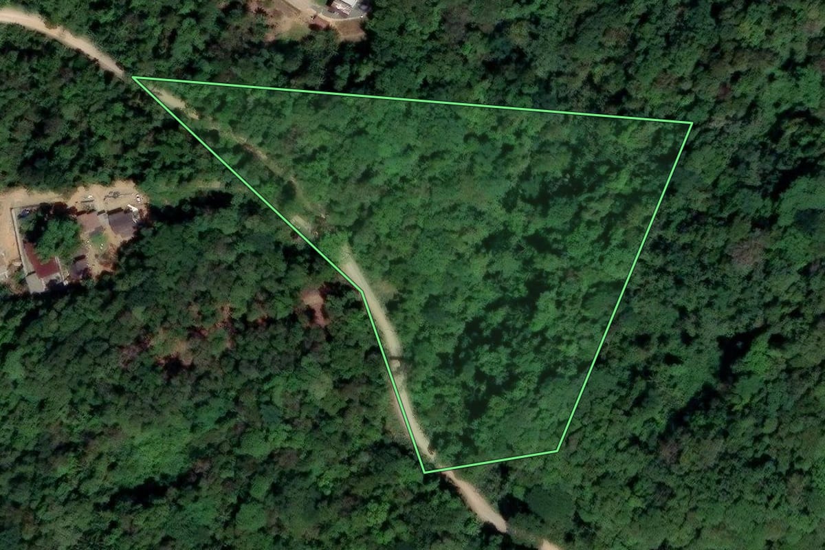 Imagem de satélite do imóvel rural em Gaspar (SC), com o contorno declarado no CAR desenhado por cima.