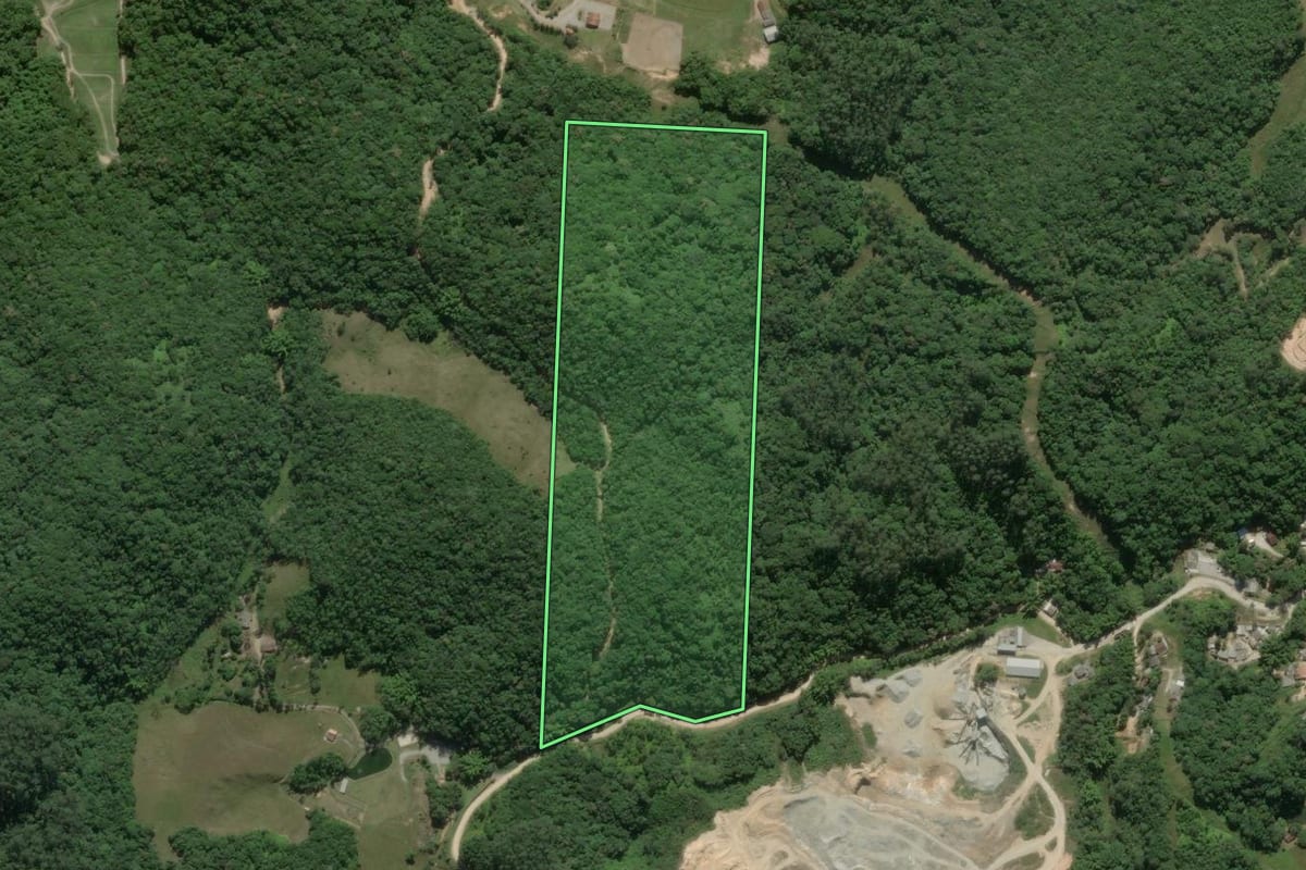 Imagem de satélite do imóvel rural em Gaspar (SC), com o contorno declarado no CAR desenhado por cima.
