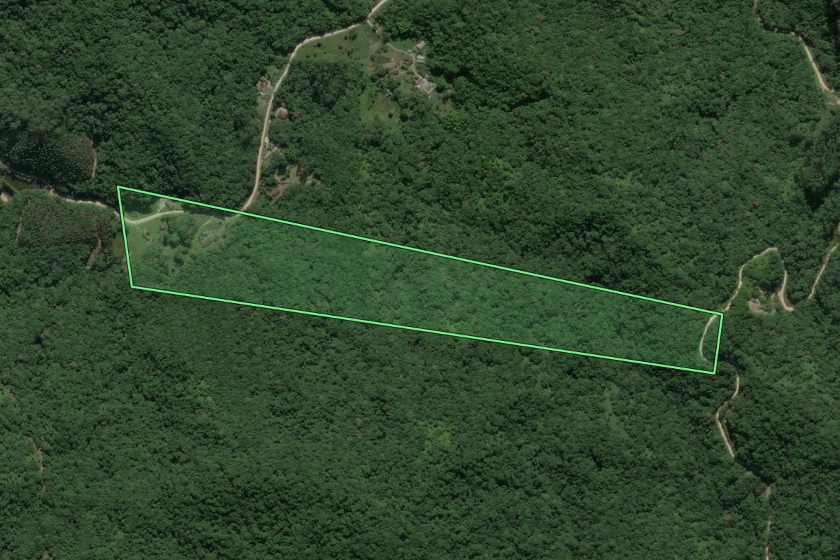 Imagem de satélite do imóvel rural em Gaspar (SC), com o contorno declarado no CAR desenhado por cima.