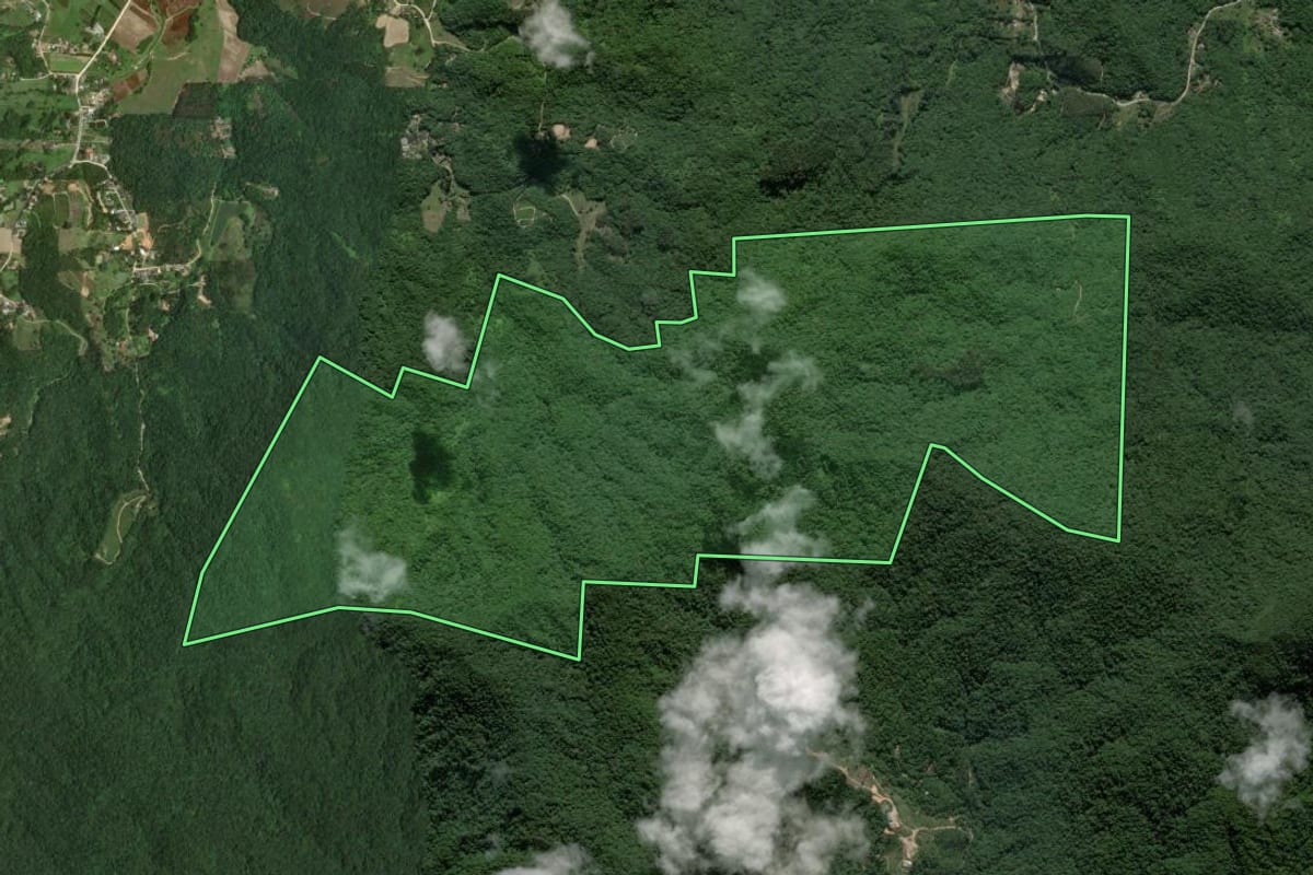 Imagem de satélite do imóvel rural em Gaspar (SC), com o contorno declarado no CAR desenhado por cima.