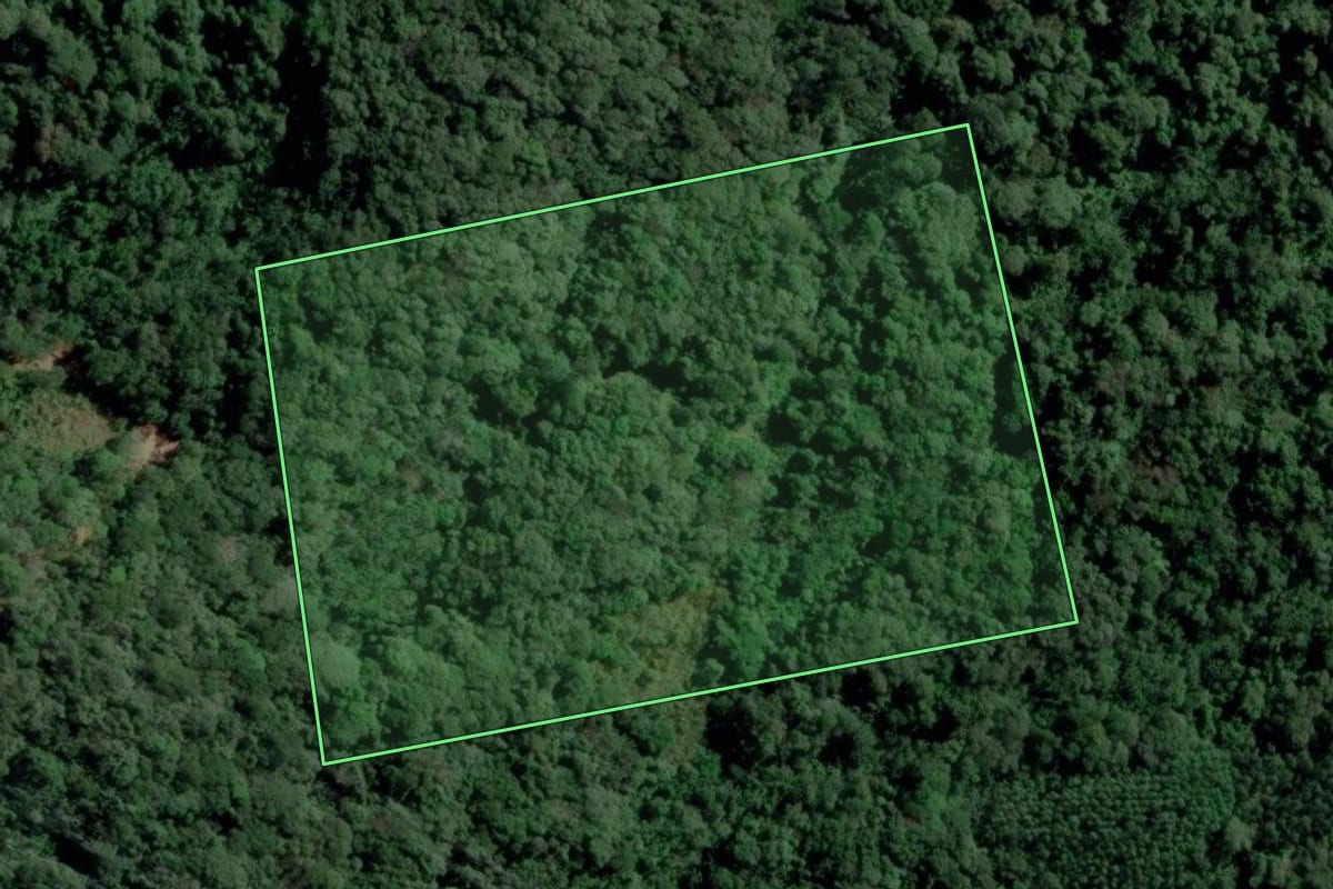 Imagem de satélite do imóvel rural em Gaspar (SC), com o contorno declarado no CAR desenhado por cima.