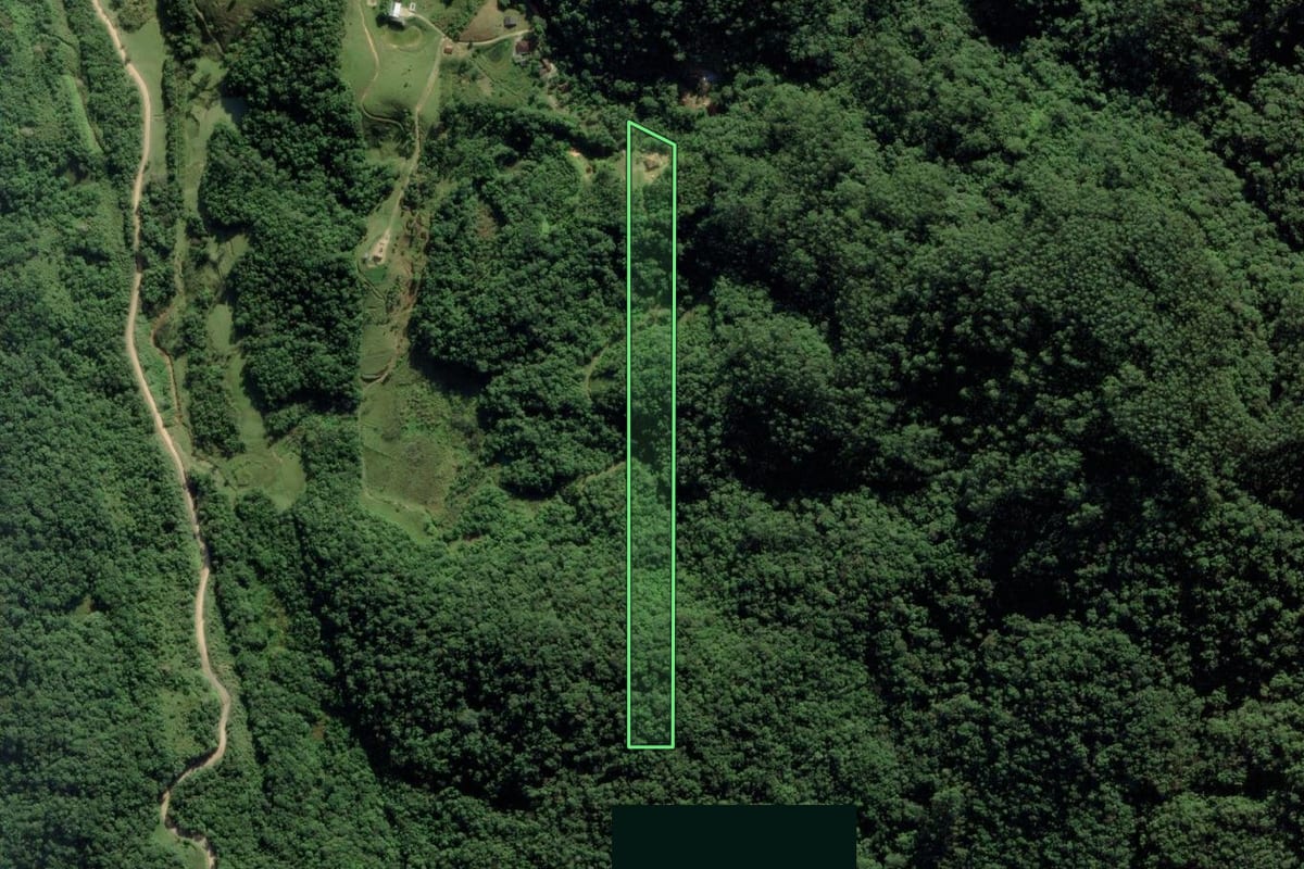 Imagem de satélite do imóvel rural em Gaspar (SC), com o contorno declarado no CAR desenhado por cima.