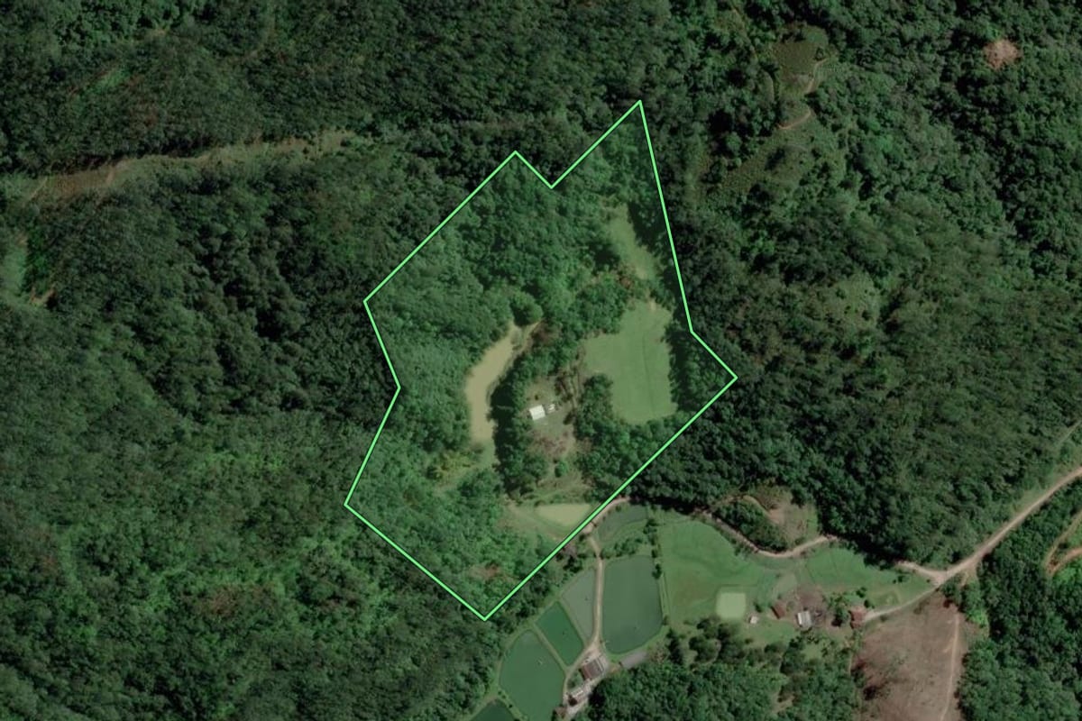 Imagem de satélite do imóvel rural em Gaspar (SC), com o contorno declarado no CAR desenhado por cima.