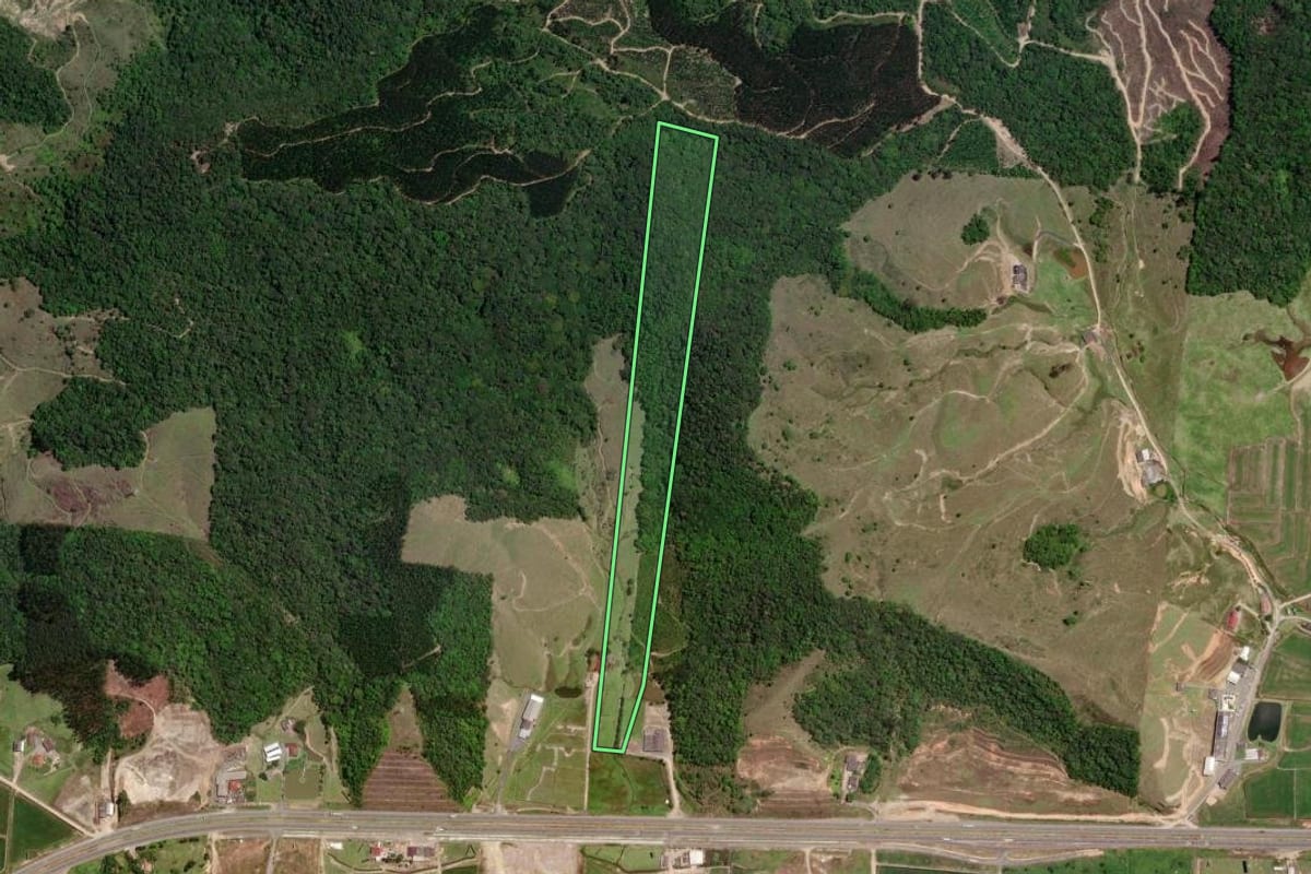 Imagem de satélite do imóvel rural em Gaspar (SC), com o contorno declarado no CAR desenhado por cima.