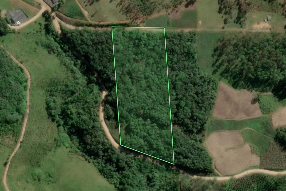 Imagem de satélite do imóvel rural em Gaspar (SC), com o contorno declarado no CAR desenhado por cima.