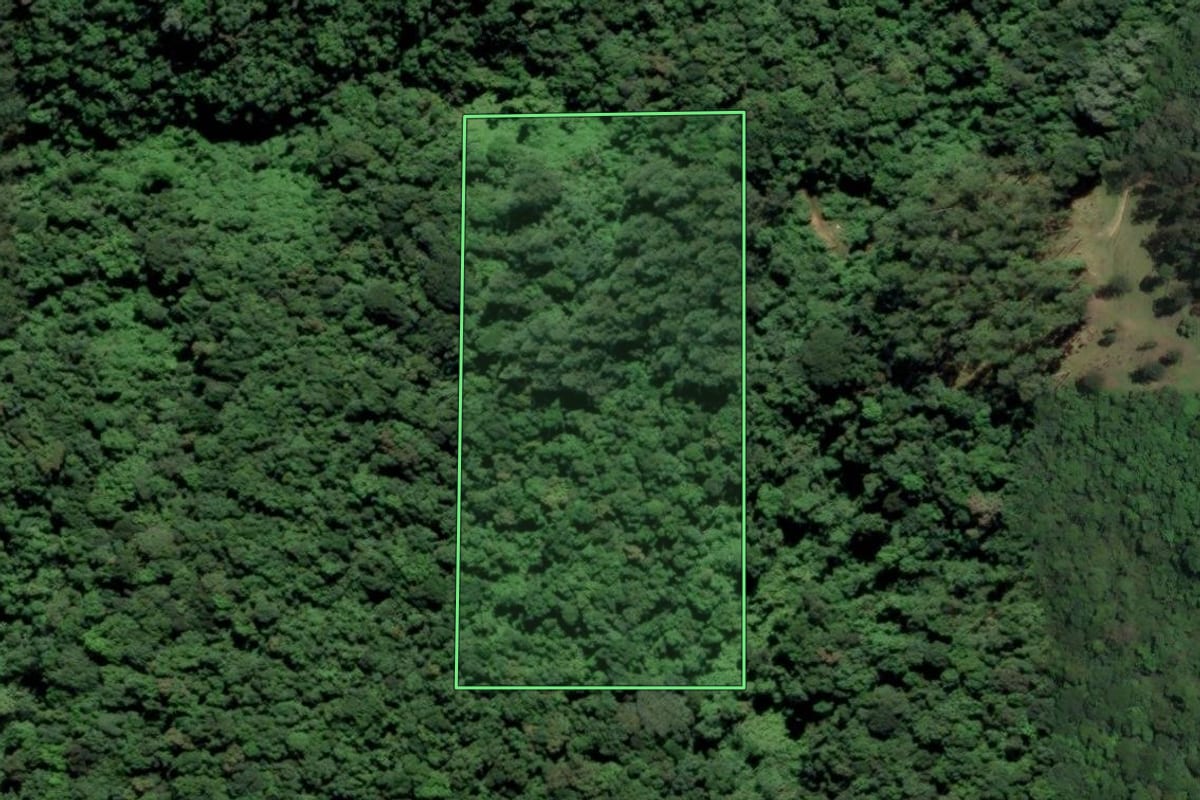 Imagem de satélite do imóvel rural em Grão-Pará (SC), com o contorno declarado no CAR desenhado por cima.