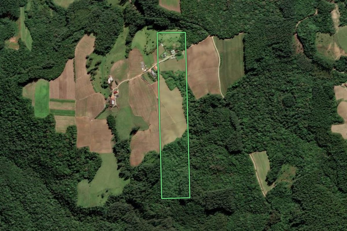 Imagem de satélite do imóvel rural em Grão-Pará (SC), com o contorno declarado no CAR desenhado por cima.