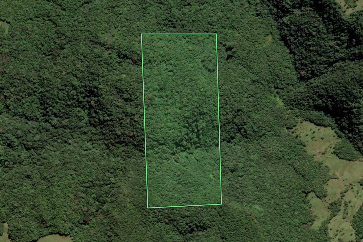 Imagem de satélite do imóvel rural em Grão-Pará (SC), com o contorno declarado no CAR desenhado por cima.