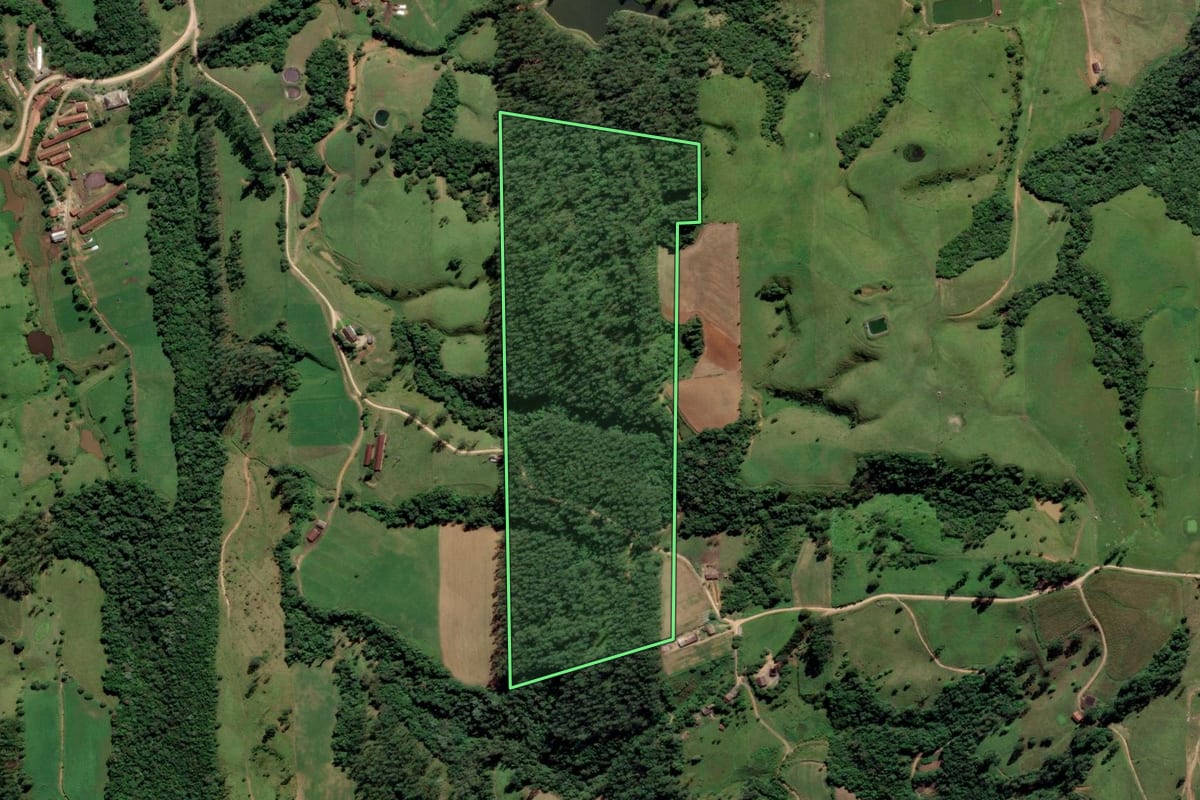 Imagem de satélite do imóvel rural em Grão-Pará (SC), com o contorno declarado no CAR desenhado por cima.