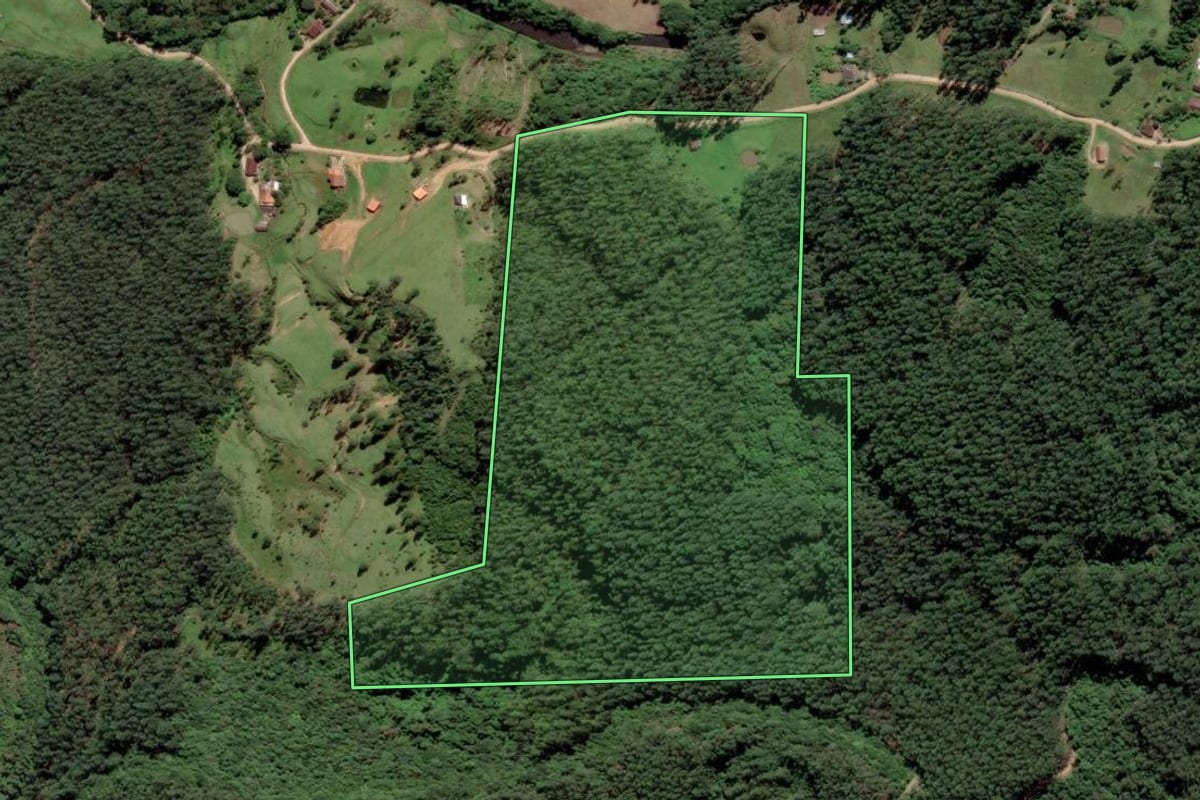 Imagem de satélite do imóvel rural em Grão-Pará (SC), com o contorno declarado no CAR desenhado por cima.