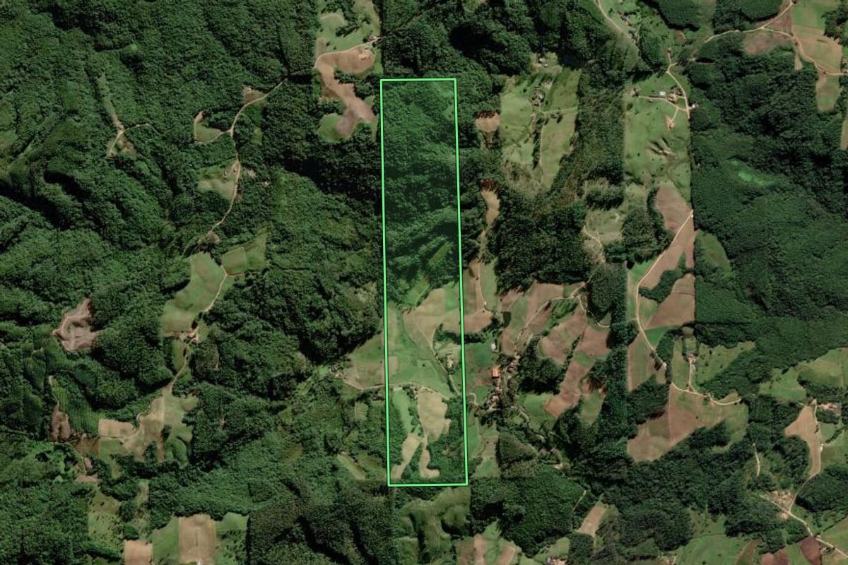 Imagem de satélite do imóvel rural em Grão-Pará (SC), com o contorno declarado no CAR desenhado por cima.