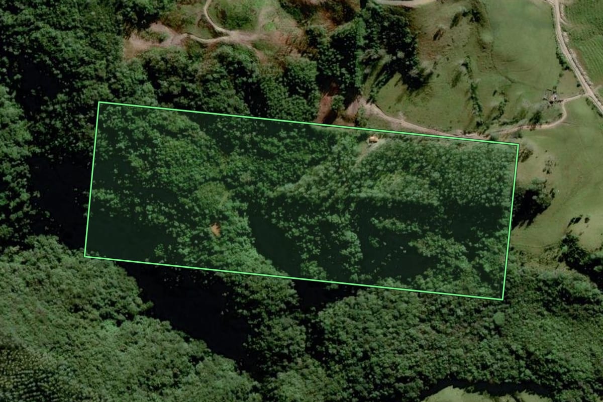 Imagem de satélite do imóvel rural em Grão-Pará (SC), com o contorno declarado no CAR desenhado por cima.