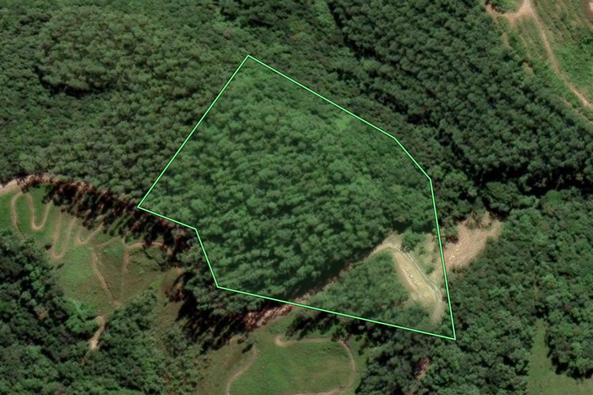 Imagem de satélite do imóvel rural em Grão-Pará (SC), com o contorno declarado no CAR desenhado por cima.