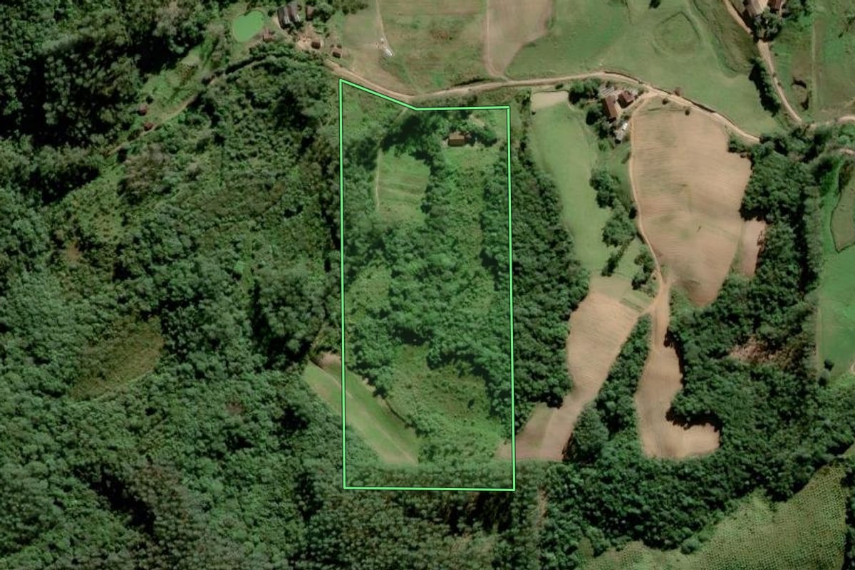 Imagem de satélite do imóvel rural em Grão-Pará (SC), com o contorno declarado no CAR desenhado por cima.