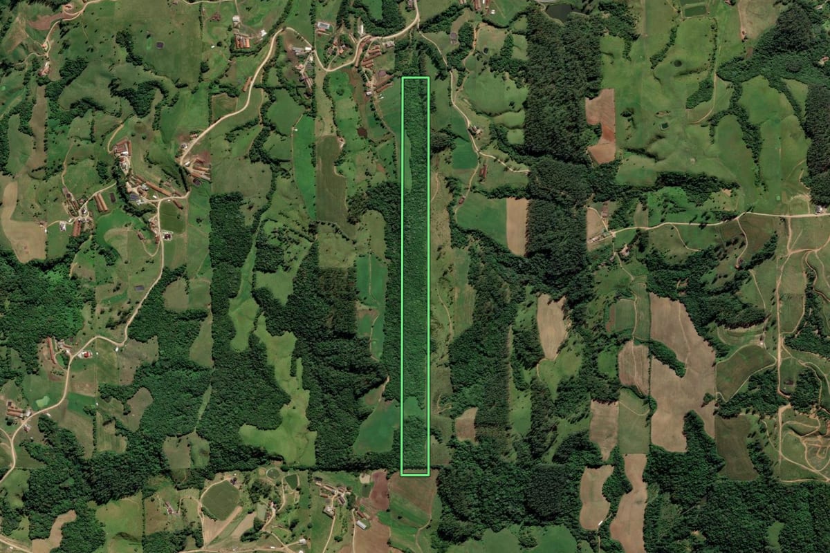 Imagem de satélite do imóvel rural em Grão-Pará (SC), com o contorno declarado no CAR desenhado por cima.