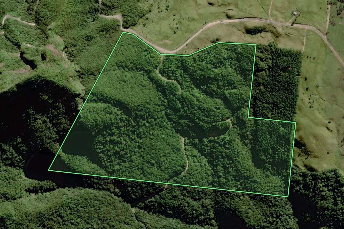 Imagem de satélite do imóvel rural em Grão-Pará (SC), com o contorno declarado no CAR desenhado por cima.