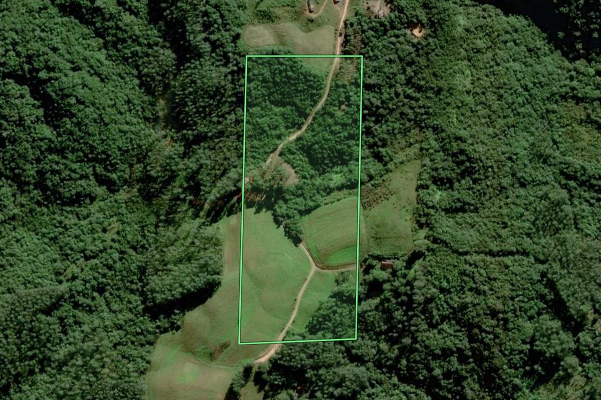 Imagem de satélite do imóvel rural em Grão-Pará (SC), com o contorno declarado no CAR desenhado por cima.