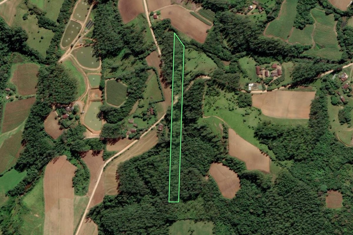Imagem de satélite do imóvel rural em Grão-Pará (SC), com o contorno declarado no CAR desenhado por cima.