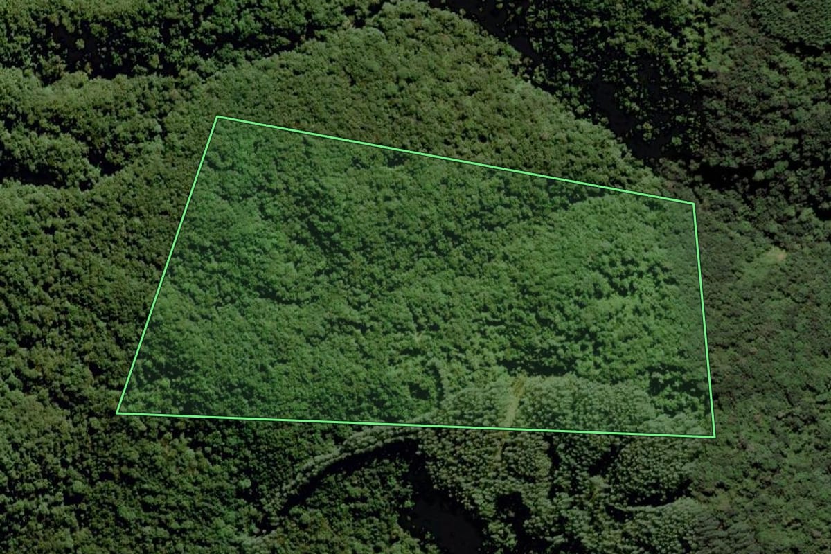 Imagem de satélite do imóvel rural em Grão-Pará (SC), com o contorno declarado no CAR desenhado por cima.