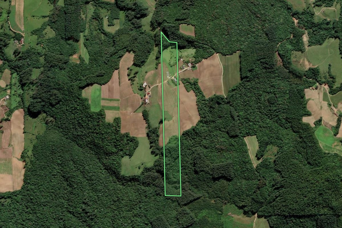 Imagem de satélite do imóvel rural em Grão-Pará (SC), com o contorno declarado no CAR desenhado por cima.
