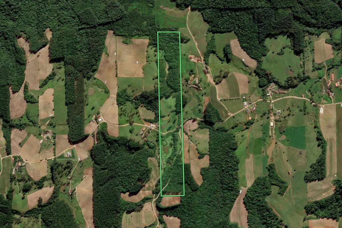 Imagem de satélite do imóvel rural em Grão-Pará (SC), com o contorno declarado no CAR desenhado por cima.