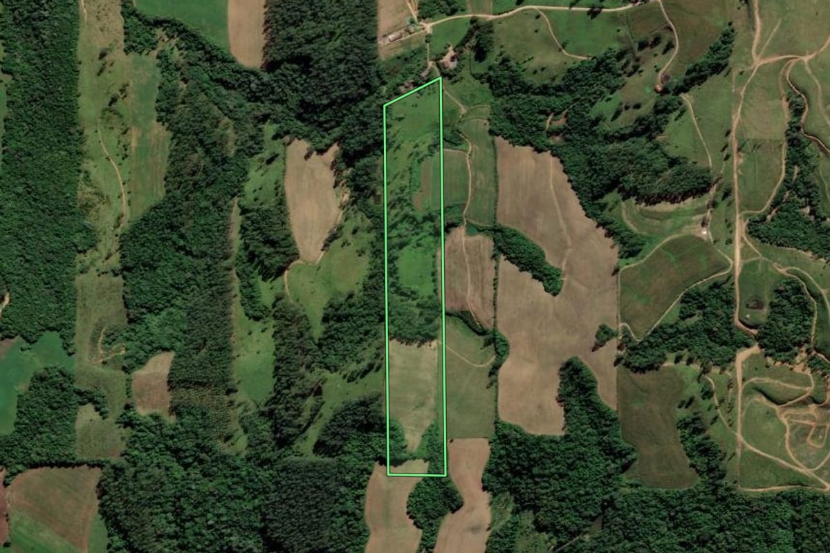 Imagem de satélite do imóvel rural em Grão-Pará (SC), com o contorno declarado no CAR desenhado por cima.
