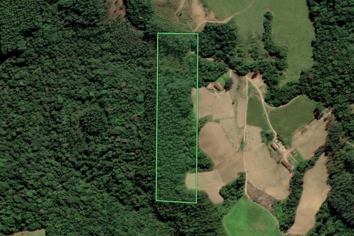 Imagem de satélite do imóvel rural em Grão-Pará (SC), com o contorno declarado no CAR desenhado por cima.