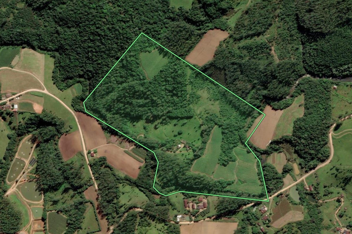 Imagem de satélite do imóvel rural em Grão-Pará (SC), com o contorno declarado no CAR desenhado por cima.