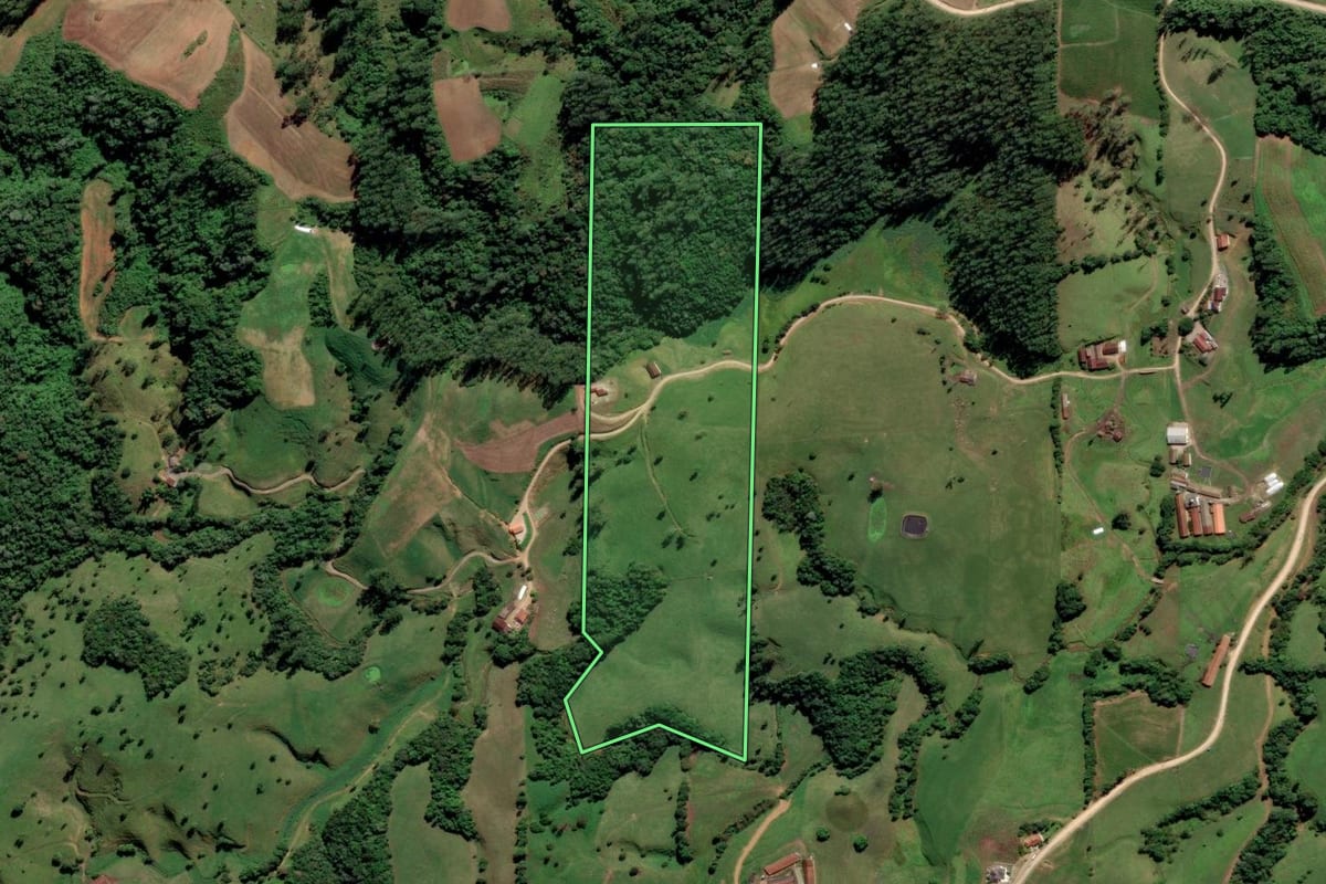 Imagem de satélite do imóvel rural em Grão-Pará (SC), com o contorno declarado no CAR desenhado por cima.