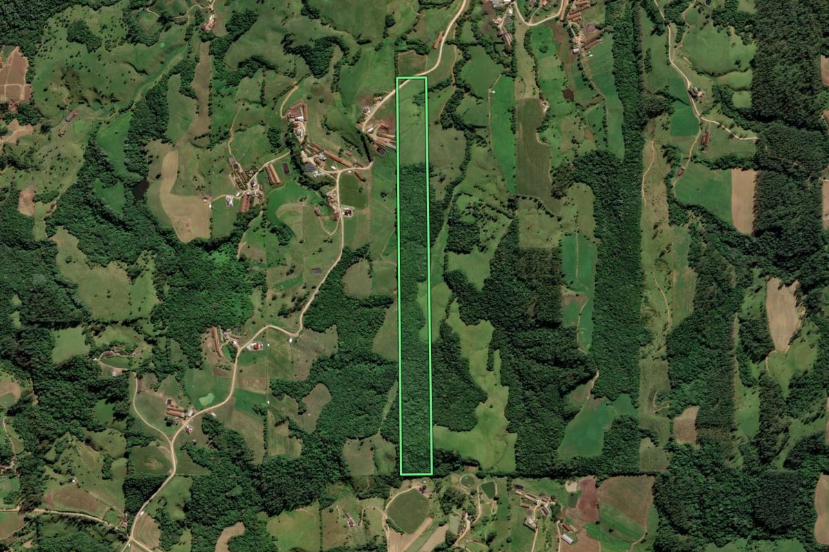 Imagem de satélite do imóvel rural em Grão-Pará (SC), com o contorno declarado no CAR desenhado por cima.