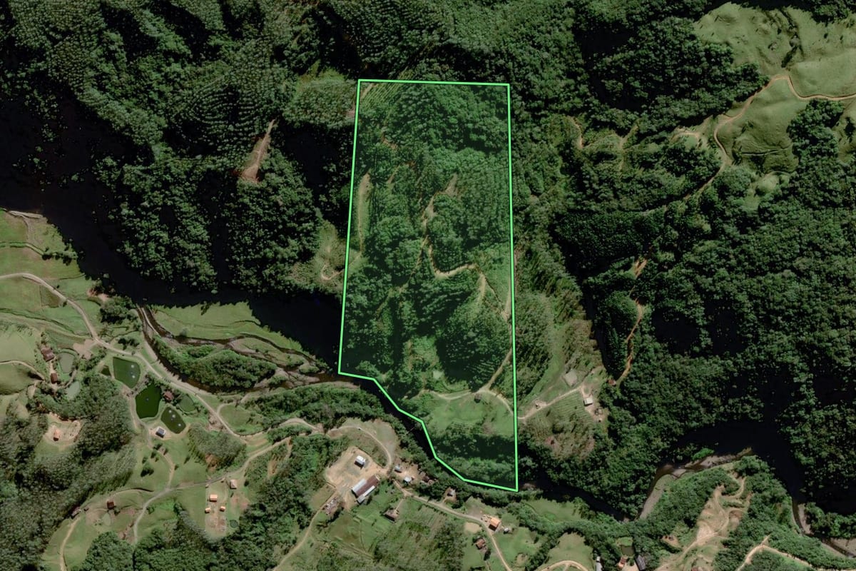 Imagem de satélite do imóvel rural em Grão-Pará (SC), com o contorno declarado no CAR desenhado por cima.
