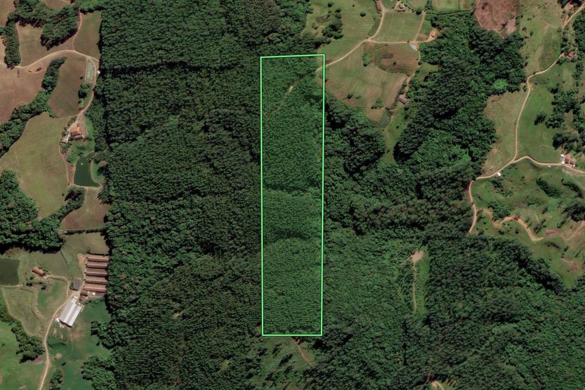 Imagem de satélite do imóvel rural em Grão-Pará (SC), com o contorno declarado no CAR desenhado por cima.