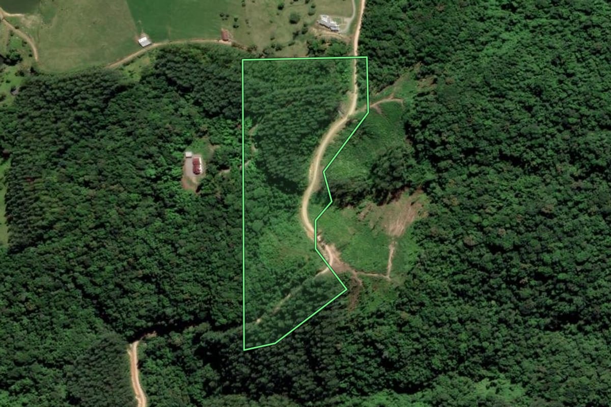 Imagem de satélite do imóvel rural em Grão-Pará (SC), com o contorno declarado no CAR desenhado por cima.