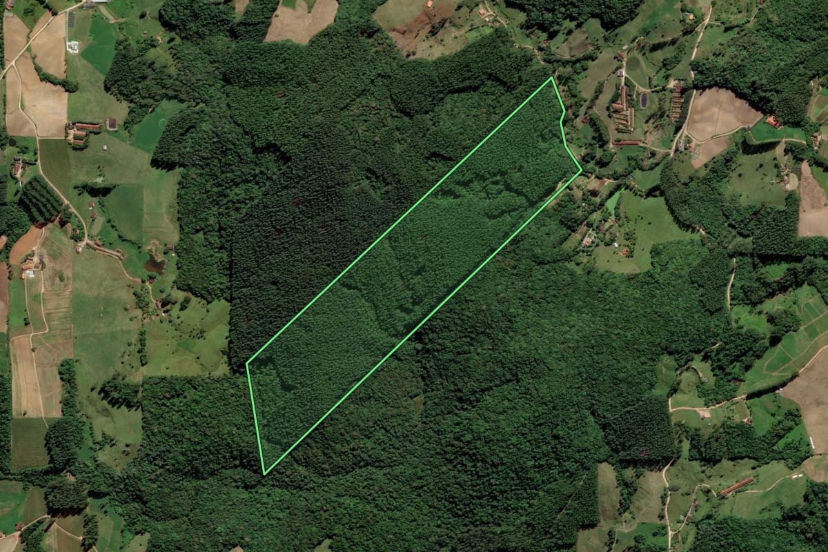 Imagem de satélite do imóvel rural em Grão-Pará (SC), com o contorno declarado no CAR desenhado por cima.