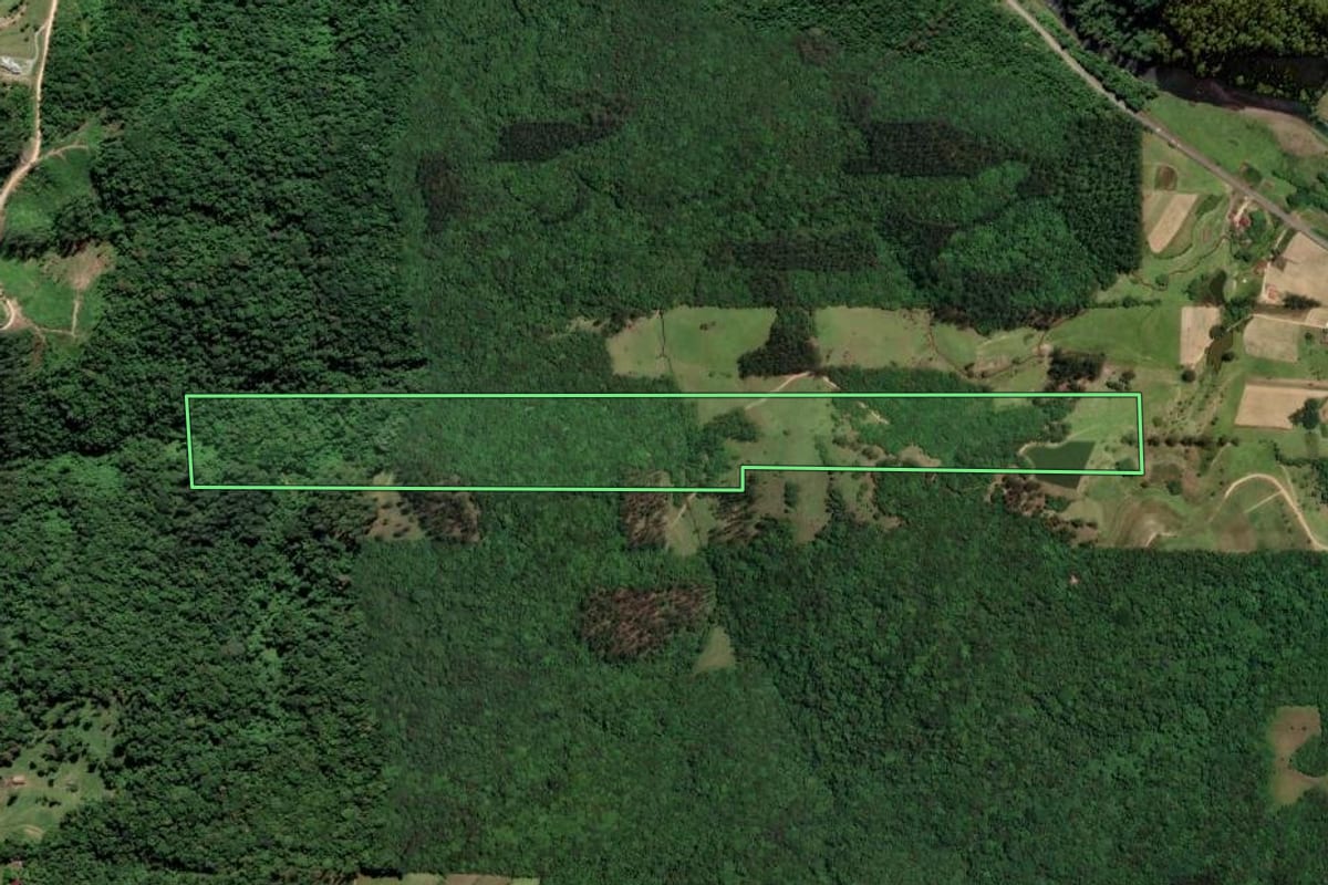 Imagem de satélite do imóvel rural em Grão-Pará (SC), com o contorno declarado no CAR desenhado por cima.