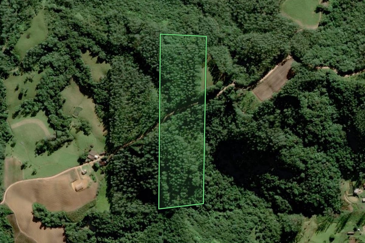Imagem de satélite do imóvel rural em Grão-Pará (SC), com o contorno declarado no CAR desenhado por cima.