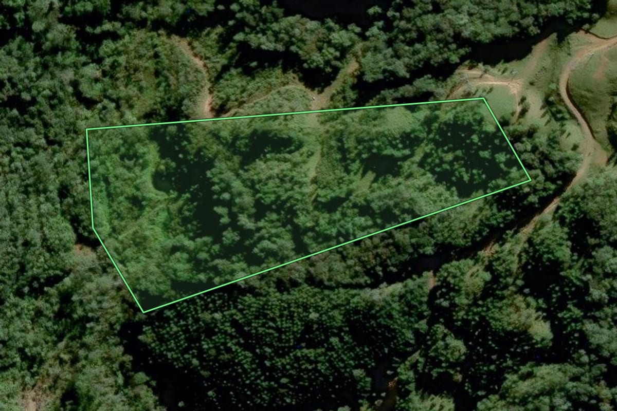 Imagem de satélite do imóvel rural em Grão-Pará (SC), com o contorno declarado no CAR desenhado por cima.
